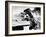 The Beast of Hollow Mountain, 1956-null-Framed Photo