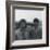 The Beatles II-British Pathe-Framed Art Print