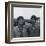 The Beatles II-British Pathe-Framed Art Print