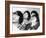 The Beatles-null-Framed Photo