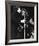 The Beatles-null-Framed Photo