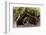 The Beautiful Banyan Tree-Philippe Hugonnard-Framed Photographic Print