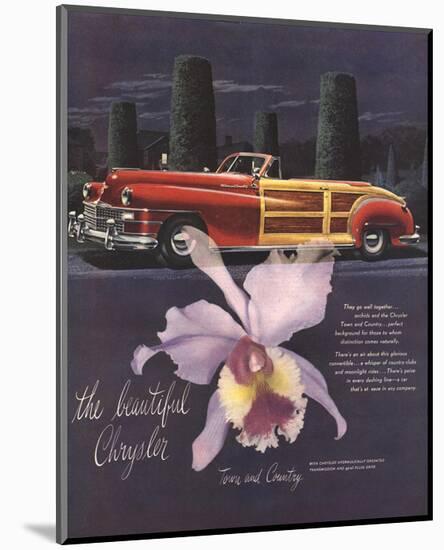 The Beautiful Chrysler-Orchid-null-Mounted Art Print