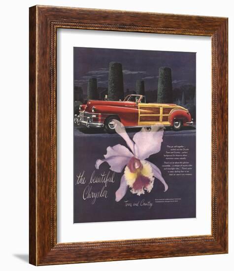 The Beautiful Chrysler-Orchid-null-Framed Art Print