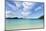 The beautiful clear water at Rodney Bay, St. Lucia, Windward Islands, West Indies Caribbean, Centra-Martin Child-Mounted Photographic Print