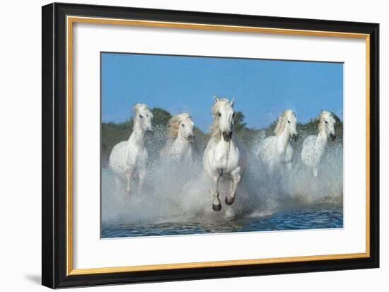 The Beautiful Five-Xavier Ortega-Framed Giclee Print