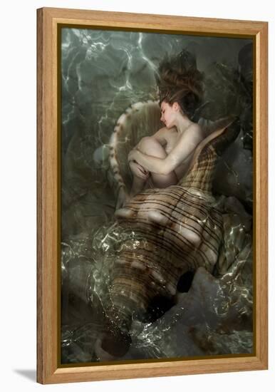 The Beautiful Girl Sleeps In A Sea Cockleshell-Lilun-Framed Stretched Canvas