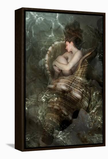 The Beautiful Girl Sleeps In A Sea Cockleshell-Lilun-Framed Stretched Canvas