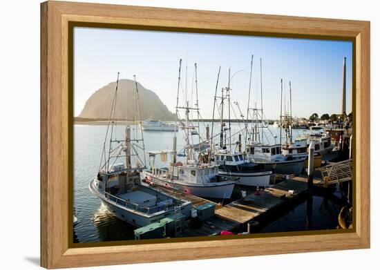 The Beautiful Scenes of Morro Bay, California-Daniel Kuras-Framed Premier Image Canvas