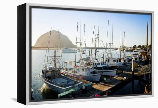 The Beautiful Scenes of Morro Bay, California-Daniel Kuras-Framed Premier Image Canvas