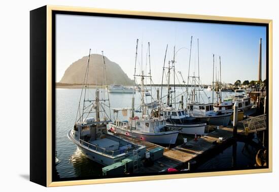 The Beautiful Scenes of Morro Bay, California-Daniel Kuras-Framed Premier Image Canvas