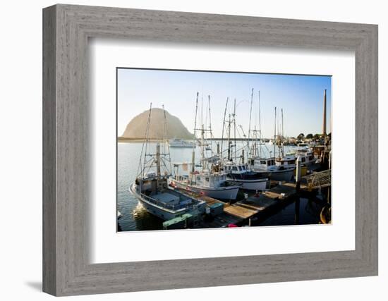 The Beautiful Scenes of Morro Bay, California-Daniel Kuras-Framed Photographic Print