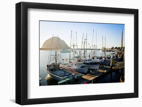 The Beautiful Scenes of Morro Bay, California-Daniel Kuras-Framed Photographic Print