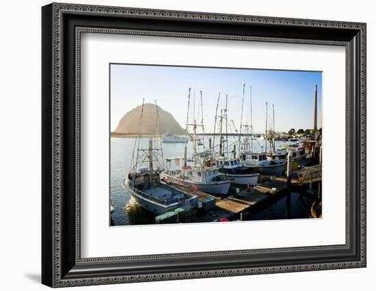 The Beautiful Scenes of Morro Bay, California-Daniel Kuras-Framed Photographic Print