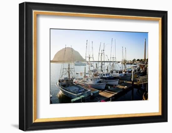 The Beautiful Scenes of Morro Bay, California-Daniel Kuras-Framed Photographic Print