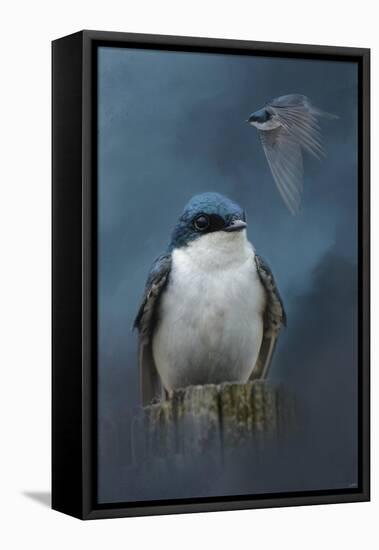 The Beautiful Tree Swallow-Jai Johnson-Framed Premier Image Canvas