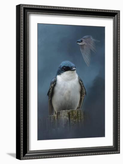 The Beautiful Tree Swallow-Jai Johnson-Framed Giclee Print