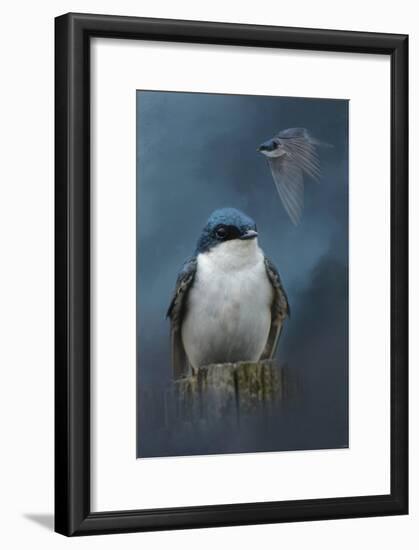 The Beautiful Tree Swallow-Jai Johnson-Framed Giclee Print