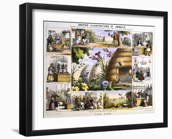 The Bee, C1850-Benjamin Waterhouse Hawkins-Framed Giclee Print