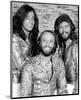 The Bee Gees-null-Mounted Photo