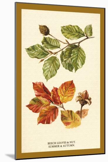 The Beech Leaves and Nut-W.h.j. Boot-Mounted Art Print