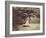 The Beech Tree, c.1855-7-Gustave Le Gray-Framed Photographic Print