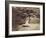 The Beech Tree, c.1855-7-Gustave Le Gray-Framed Photographic Print