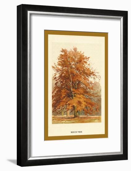 The Beech Tree-W.h.j. Boot-Framed Art Print