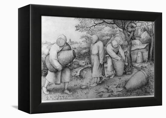 The Beekeepers, 'If You Know Where the Treasure Is, You Can Rob It', C.1567-68-Pieter Bruegel the Elder-Framed Premier Image Canvas