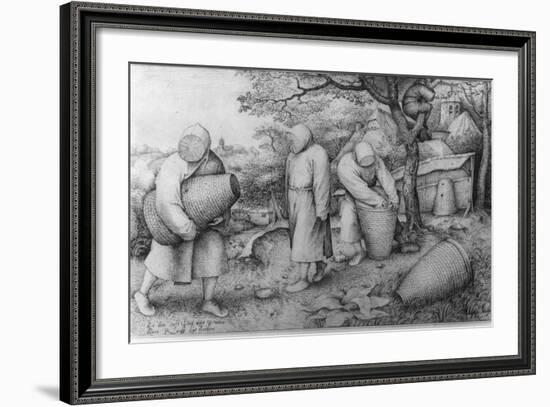 The Beekeepers, 'If You Know Where the Treasure Is, You Can Rob It', C.1567-68-Pieter Bruegel the Elder-Framed Photographic Print