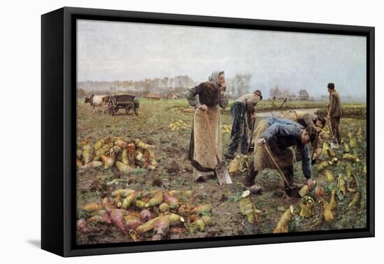 The Beet Harvest-Emile Claus-Framed Stretched Canvas