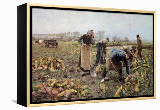 The Beet Harvest-Emile Claus-Framed Stretched Canvas