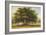 The Beggars Oak-John Glover-Framed Giclee Print