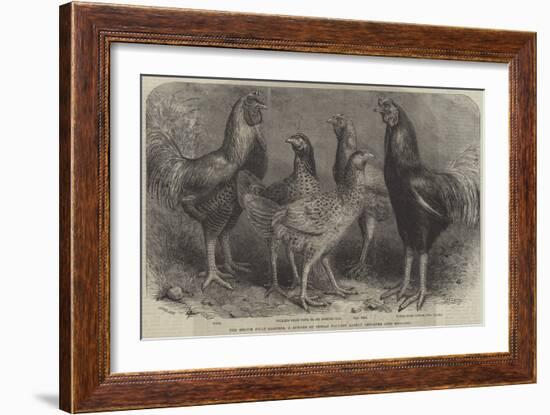 The Begum Pilly Gaguzes, a Species of Indian Poultry Lately Imported into England-Friedrich Wilhelm Keyl-Framed Giclee Print