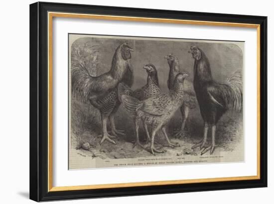 The Begum Pilly Gaguzes, a Species of Indian Poultry Lately Imported into England-Friedrich Wilhelm Keyl-Framed Giclee Print