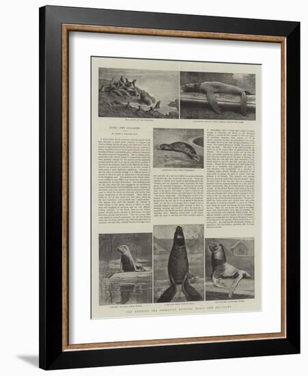 The Behring Sea Fisheries Dispute, Seals and Sea-Lions-null-Framed Giclee Print