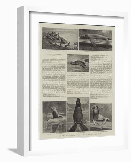 The Behring Sea Fisheries Dispute, Seals and Sea-Lions-null-Framed Giclee Print