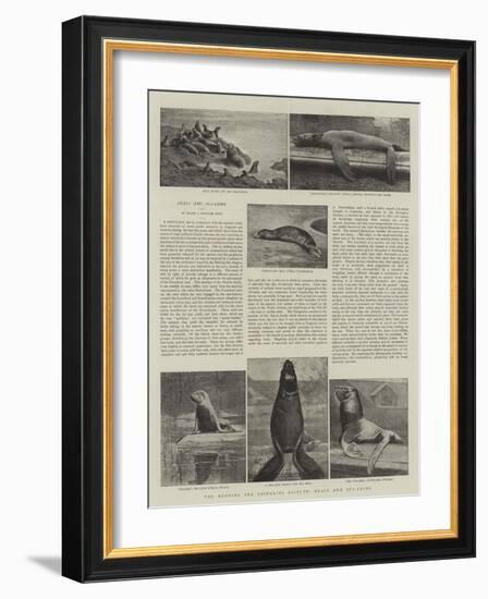 The Behring Sea Fisheries Dispute, Seals and Sea-Lions-null-Framed Giclee Print