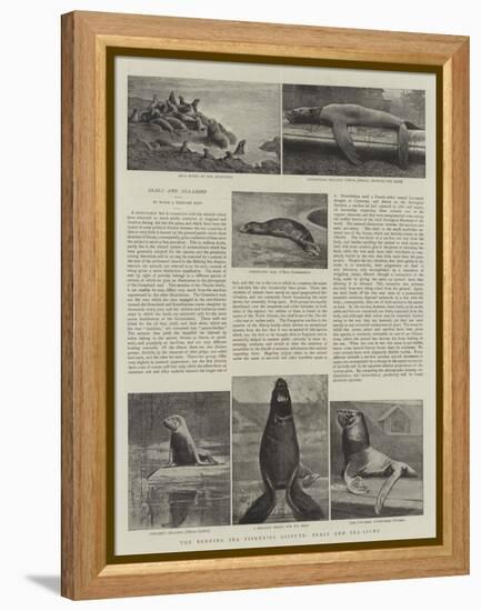 The Behring Sea Fisheries Dispute, Seals and Sea-Lions-null-Framed Premier Image Canvas