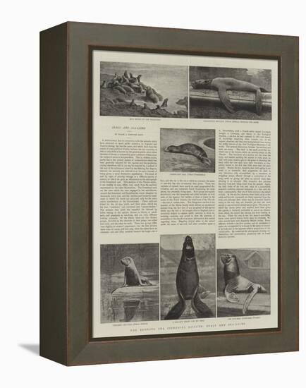 The Behring Sea Fisheries Dispute, Seals and Sea-Lions-null-Framed Premier Image Canvas