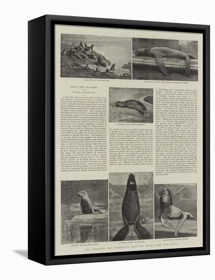 The Behring Sea Fisheries Dispute, Seals and Sea-Lions-null-Framed Premier Image Canvas