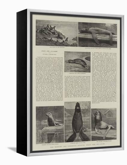 The Behring Sea Fisheries Dispute, Seals and Sea-Lions-null-Framed Premier Image Canvas