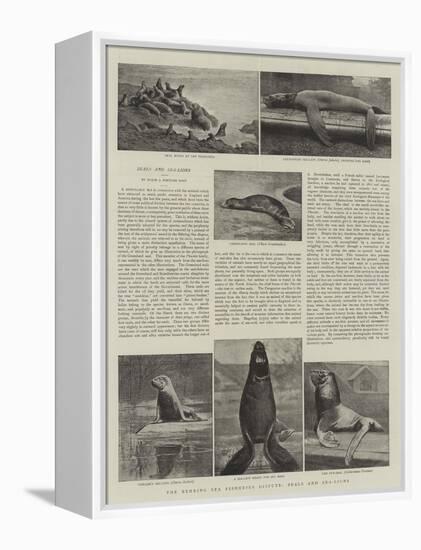 The Behring Sea Fisheries Dispute, Seals and Sea-Lions-null-Framed Premier Image Canvas