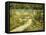 The Bench, the Garden at Versailles-Edouard Manet-Framed Premier Image Canvas