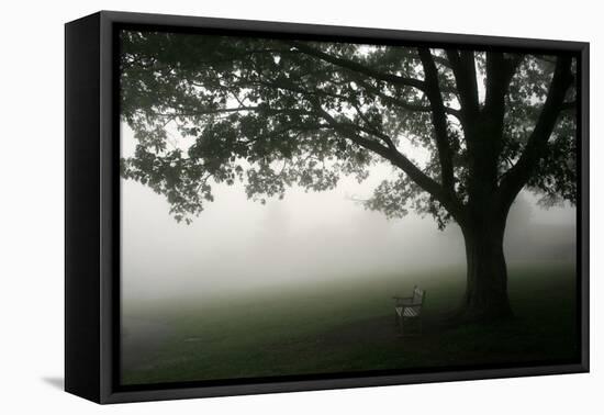 The Bench-PhotoINC-Framed Premier Image Canvas