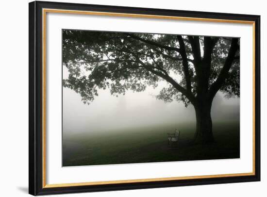 The Bench-PhotoINC-Framed Photographic Print