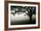 The Bench-PhotoINC-Framed Photographic Print