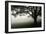 The Bench-PhotoINC-Framed Photographic Print