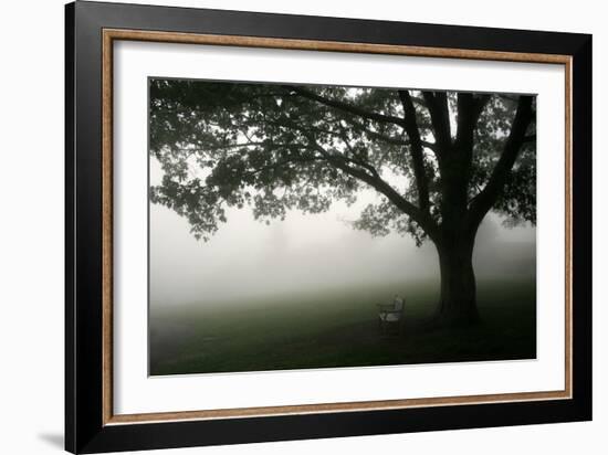 The Bench-PhotoINC-Framed Photographic Print