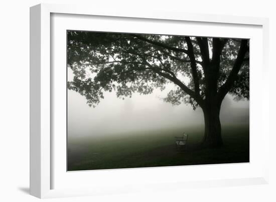 The Bench-PhotoINC-Framed Photographic Print